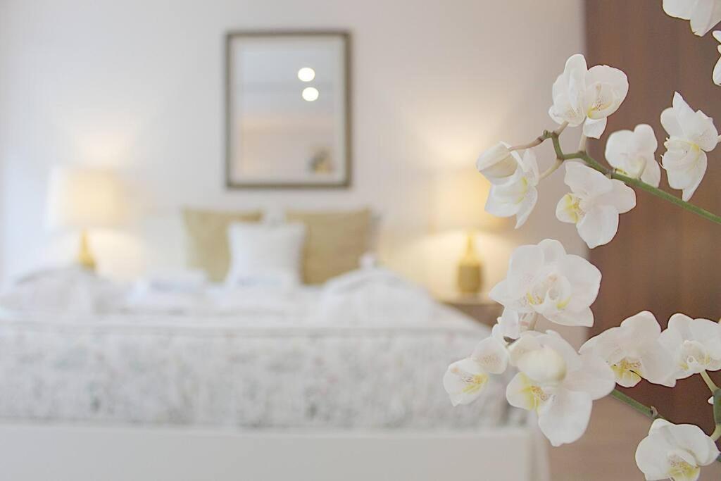 Oliveiras Charming Apartment Downtown 포르투 외부 사진